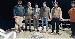 পেকুয়ায় বিপন্ন প্রজাতির কচ্ছপ উদ্ধার, সাগরে অবমুক্ত 