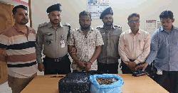 কলাপাড়ায় মাদকদ্রব্য নিয়ন্ত্রণ অধিদপ্তরের অভিযান, গ্রেফতার ১ 