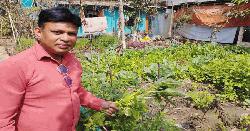 নড়াইলে পল্লবের বিষমুক্ত পুষ্টি বাগান