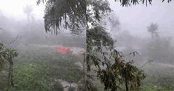 কুয়াশার চাদরে মোড়া ফরিদপুর, ফাল্গুনে ফিরল শীতের আমেজ