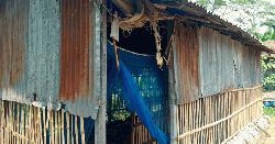 গুরুদাসপুরে এক পরিবারে ৬টি গরু চুরি, পরিবার সর্বশান্ত 
