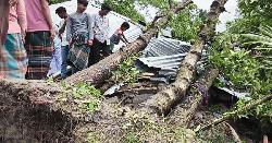 সারা দেশে কালবৈশাখী ঝড়ের সতর্কবার্তা
