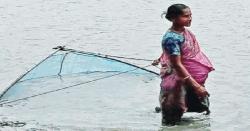 জীবিকার তাগিদে জাল নিয়ে নদীতে এক গর্ভবতী নারী 