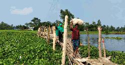 বাঁশের সাঁকোয় অনিশ্চিত যাত্রা