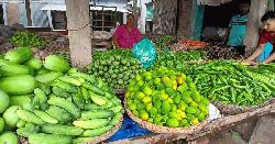 ডিমলায় সবজির বাজারে চড়া দাম, বিপাকে মধ্যবিত্ত