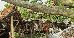 ঝড়ে লণ্ডভণ্ড সুন্দরগঞ্জ, ব্যাপক ক্ষতি