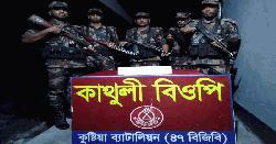দৌলতপুর সীমান্তে বিজিবির অভিযানে কোটি টাকার অবৈধ পণ্য উদ্ধার, আটক-১