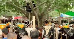 নবীনগরে জমে উঠেছে কোরবানির পশুর হাট