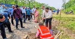 গাজীপুরে মহাসড়কের পাশে নিমের চারা রোপণ করলেন মহাসড়ক বিভাগের সচিব