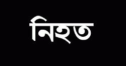 শৈলকুপায় বাস চাপায় ট্রাক চালক নিহত