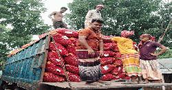 ফরিদপুরে পেঁয়াজের বাজারে কৃষকের হাহাকার