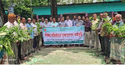 ডিমলায় ১৫টি শিক্ষা প্রতিষ্ঠানে ৭৫০টি গাছের চারা বিতরণ