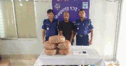 বিজয়নগরে গাঁজা ও ইয়াবাসহ মাদক কারবারি গ্রেপ্তার
