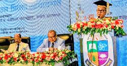 ডিগ্রি নয়, দক্ষ মানবসম্পদ গড়াই লক্ষ্য: উপাচার্য  ড. এ এস এম আমানুল্লাহ