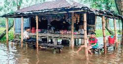 পানি কমলেও স্বস্তিতে নেই তিস্তাপাড়ের মানুষ 