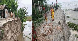 সুন্দরগঞ্জে তিস্তার অব্যাহত ভাঙনে হুমকিতে বিস্তীর্ণ জনপদ