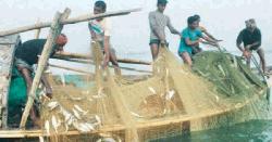 ধর্মপাশা ও মধ্যনগর উপজেলায় মাছের বংশ ধ্বংশ, বিলুপ্তির পথে দেশীয় মাছ 