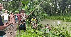দুমকিতে স্বেচ্ছাশ্রমে কাটাখালী খালের কচুরিপানা অপসারণ শুরু