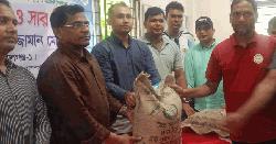 কাশিয়ানীতে কৃষকের মাঝে বিনামূল্যে সার ও বীজ বিতরণ