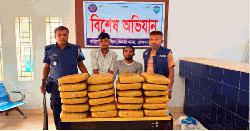 কসবায় দুই অভিযানে ১০৪ কেজি গাঁজা উদ্ধার, গ্রেপ্তার ২