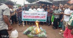 উলিপুরে নিষিদ্ধ কারেন্ট জালসহ আটক ১, জরিমানা; জব্দকৃত জাল পুড়িয়ে ধ্বংস