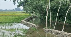 আদিতমারীতে খাল খননে অনিয়ম, শ্রমিকের তালিকায় বিএনপি নেতা