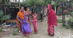 নন্দীগ্রামে ড্রেনেজ ব্যবস্থা না থাকায় পানিবন্দি ১২ পরিবার