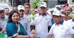 ঠাকুরগাঁওয়ে এসপিডিএস-এর উদ্যোগে গাছের চারা বিতরণ