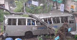 অল্পের জন্য প্রাণে বাঁচলেন শিক্ষার্থীরা, জবির বাসের ওপর ভেঙে পড়ল কৃষ্ণচূড়া গাছ  