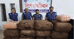 কসবায় ৩৬০ কেজি গাঁজাসহ মাদক কারবারী গ্রেপ্তার