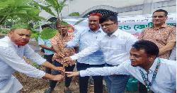 ছোনকা রহিমা নওশের আলী কলেজে বৃক্ষরোপণ কর্মসূচি অনুষ্ঠিত