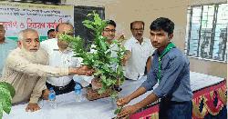 হাতীবান্ধায় স্কাউটসের বৃক্ষ রোপণ ও বিতরণ কর্মসূচি অনুষ্ঠিত