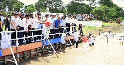 ব্রহ্মপুত্র নদে মাছের পোনা অবমুক্ত করলেন প্রধানমন্ত্রী