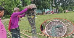 ফরিদপুরে সাংবাদিকের হস্তক্ষেপে রক্ষা পেল অর্ধশতাধিক ঘুঘু, উড়ল মুক্ত আকাশে