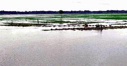 মণিরামপুরে প্রাকৃতিক প্লাবনভূমি দখলের উৎসব, জলাবদ্ধতায় দিশেহারা কৃষক