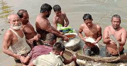 মাছের ফিডে সাফল্য, বাজারে চাহিদা বাড়ছে রংধনু ফিডের