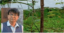 বনভূমি দখলমুক্ত করে বনায়ন করায় প্রশংসিত বনবিট কর্মকর্তা
