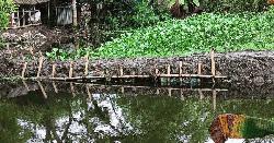 কোটালীপাড়ায় সরকারি খাল দখল করে মাছের ঘের,হুমকির মুখে বসতবাড়ি