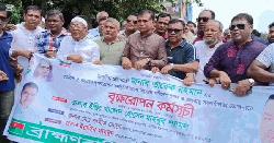 ব্রাহ্মণবাড়িয়ায় যুবদলের বৃক্ষরোপণ কর্মসূচির উদ্বোধন