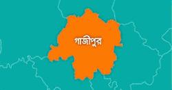 গার্মেন্টস ছুটির পরই আতঙ্ক, গাজীপুরের উত্তর বিলাসপুরে ছিনতাই-চুরির অভিযোগ