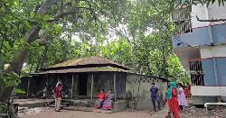 মানিকগঞ্জে ৯০ বছরের বৃদ্ধার গলা কাটলো দুর্বৃত্ত, নেই গায়ের স্বর্ণালঙ্কার