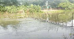 কাশিয়ানীতে কুমার নদীতে অবৈধ বাঁধে নদী হত্যা, ধ্বংসের দ্বারপ্রান্তে দেশীয় প্রজাতির মা মাছ ও পোনা  