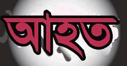 পীরগঞ্জে নির্মাণাধীন ভবন থেকে ইট পড়ে বৃদ্ধা ও শিশুকন্যা আহত
