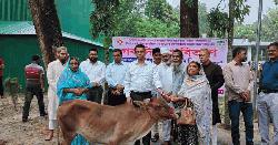 ক্ষেতলালে প্রান্তিক কৃষক ও সুবিধাবঞ্চিত নারীর মাঝে গবাদি পশু বিতরণ