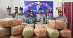 কসবায় ১২০ কেজি গাঁজাসহ যুবক গ্রেপ্তার