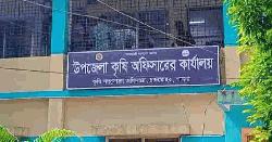 চাটমোহরে সারের বাজারে নৈরাজ্য, বিপাকে কৃষক
